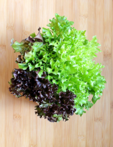 salade salade